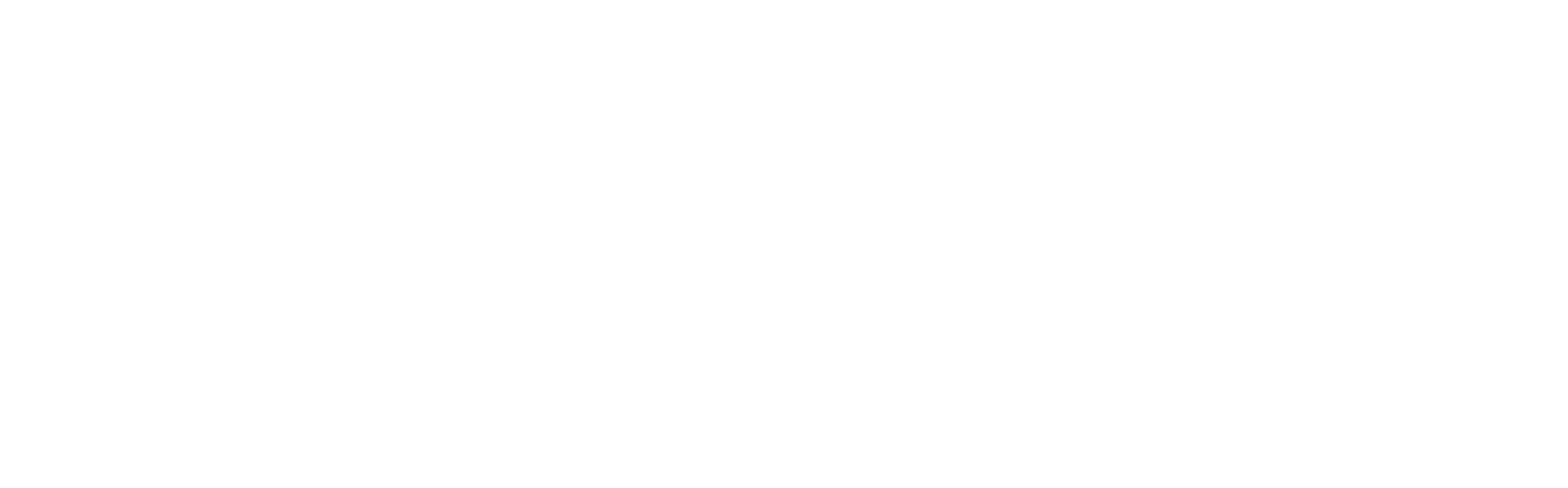 Medisolv